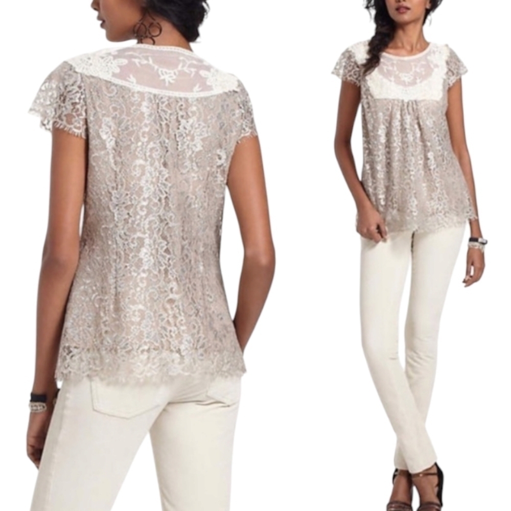 HD in Paris Lace Beige Top With Silver Shimer Accents Sz 6